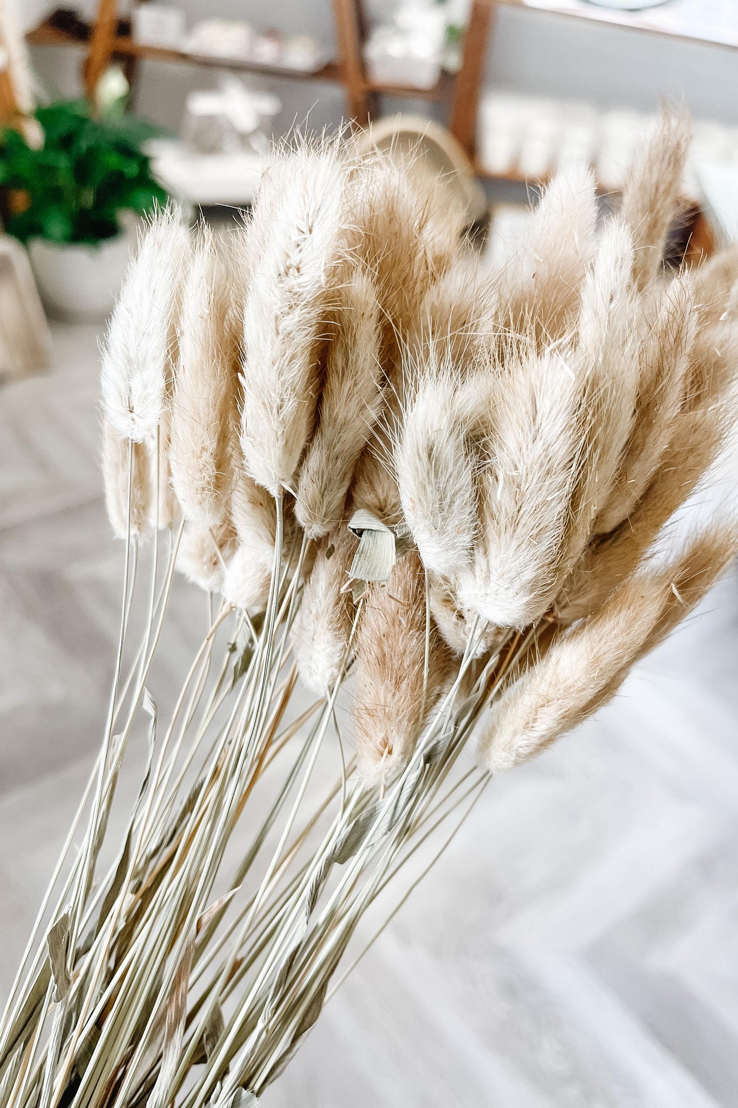 Bunny Tail Home Decor - Natural