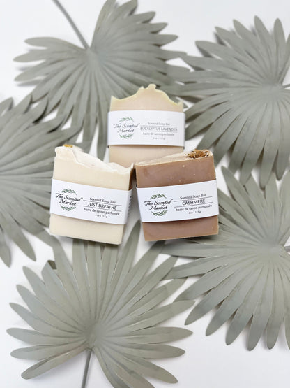 EUCALYPTUS LAVENDER - Scented Soap Bar - The Scented Market  Bar Soap   
