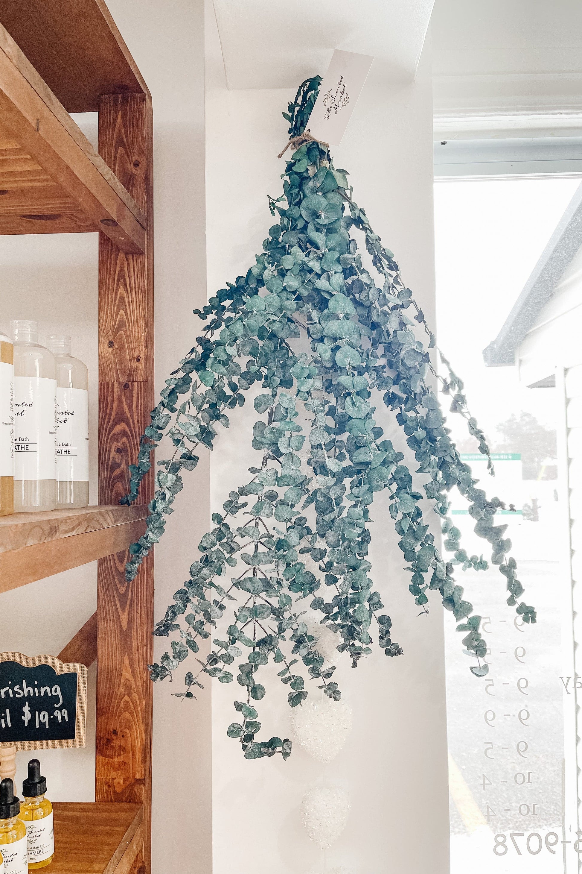 Fresh Eucalyptus Bunch - The Scented Market  Plants   