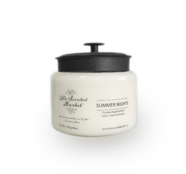 Summer Nights 4 wick scented soy candle
