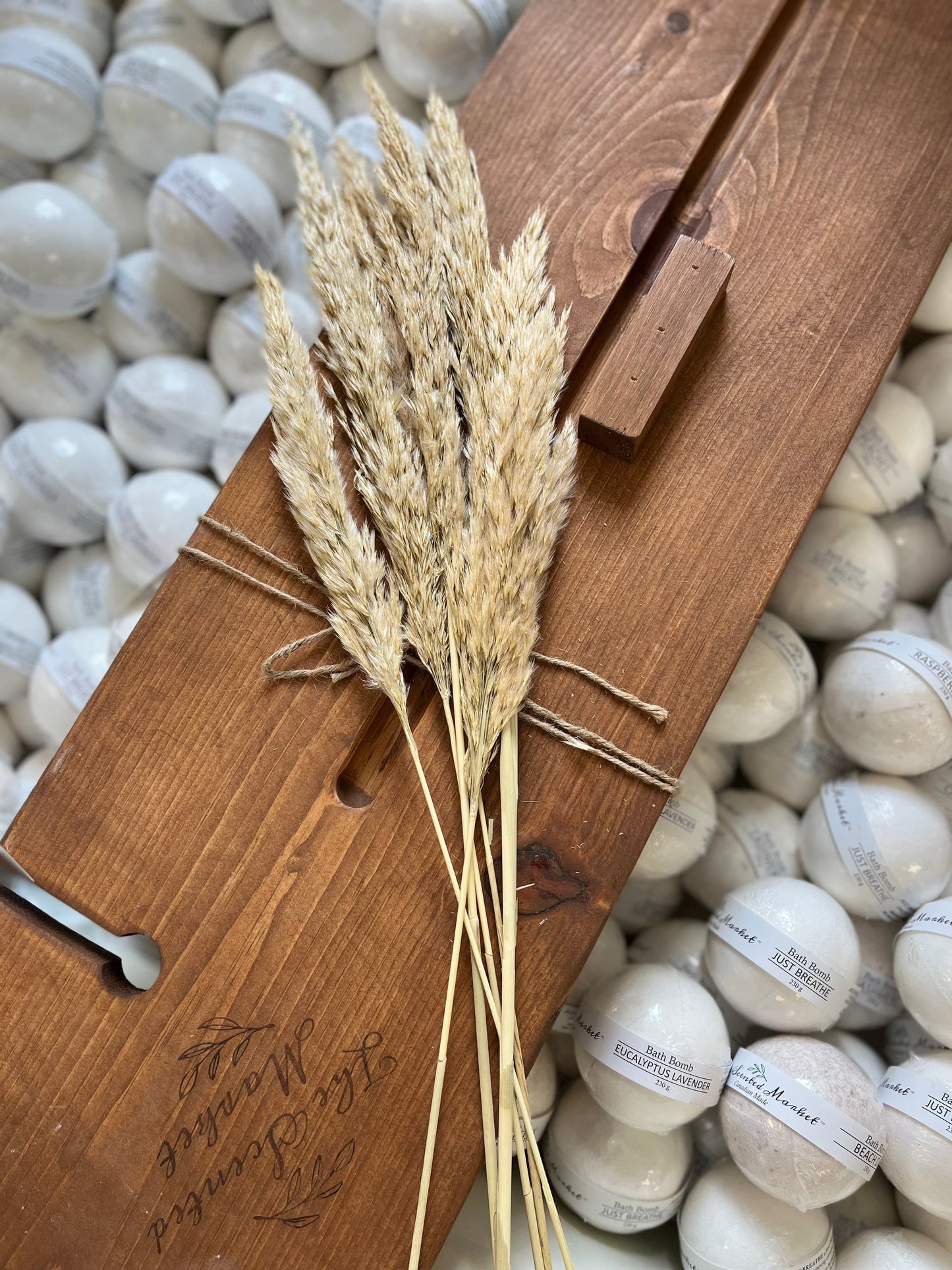 Small Pampas Grass - The Scented Market  Plants   