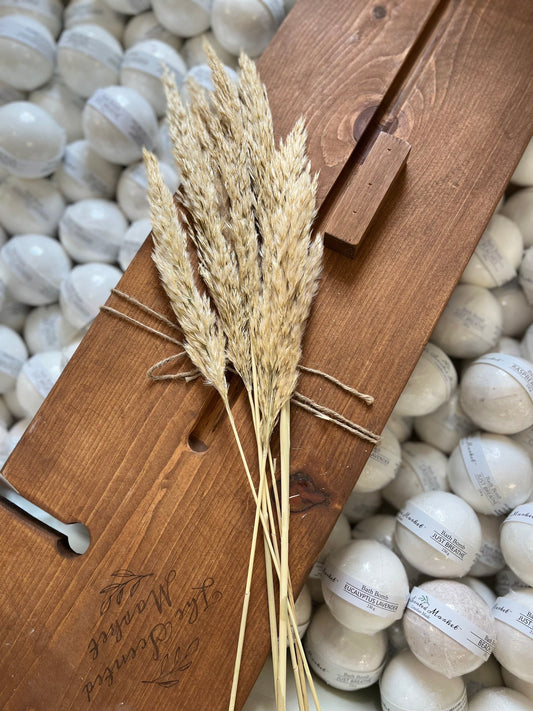 Small Pampas Grass - The Scented Market  Plants   