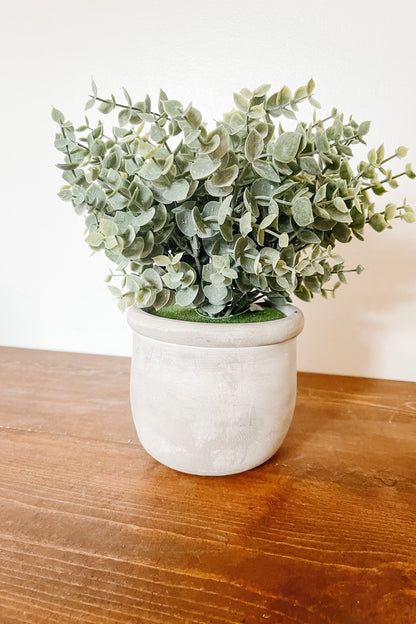 Faux Eucalyptus in a Matte Pot - The Scented Market 