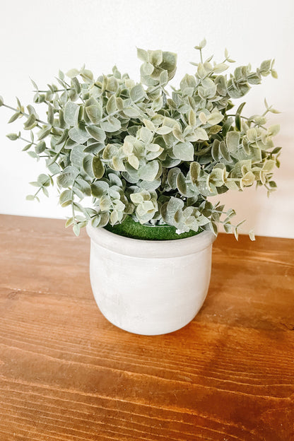 Faux Eucalyptus in a Matte Pot - The Scented Market 