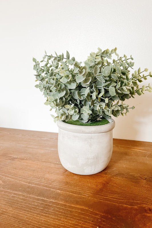 Faux Eucalyptus in a Matte Pot - The Scented Market 