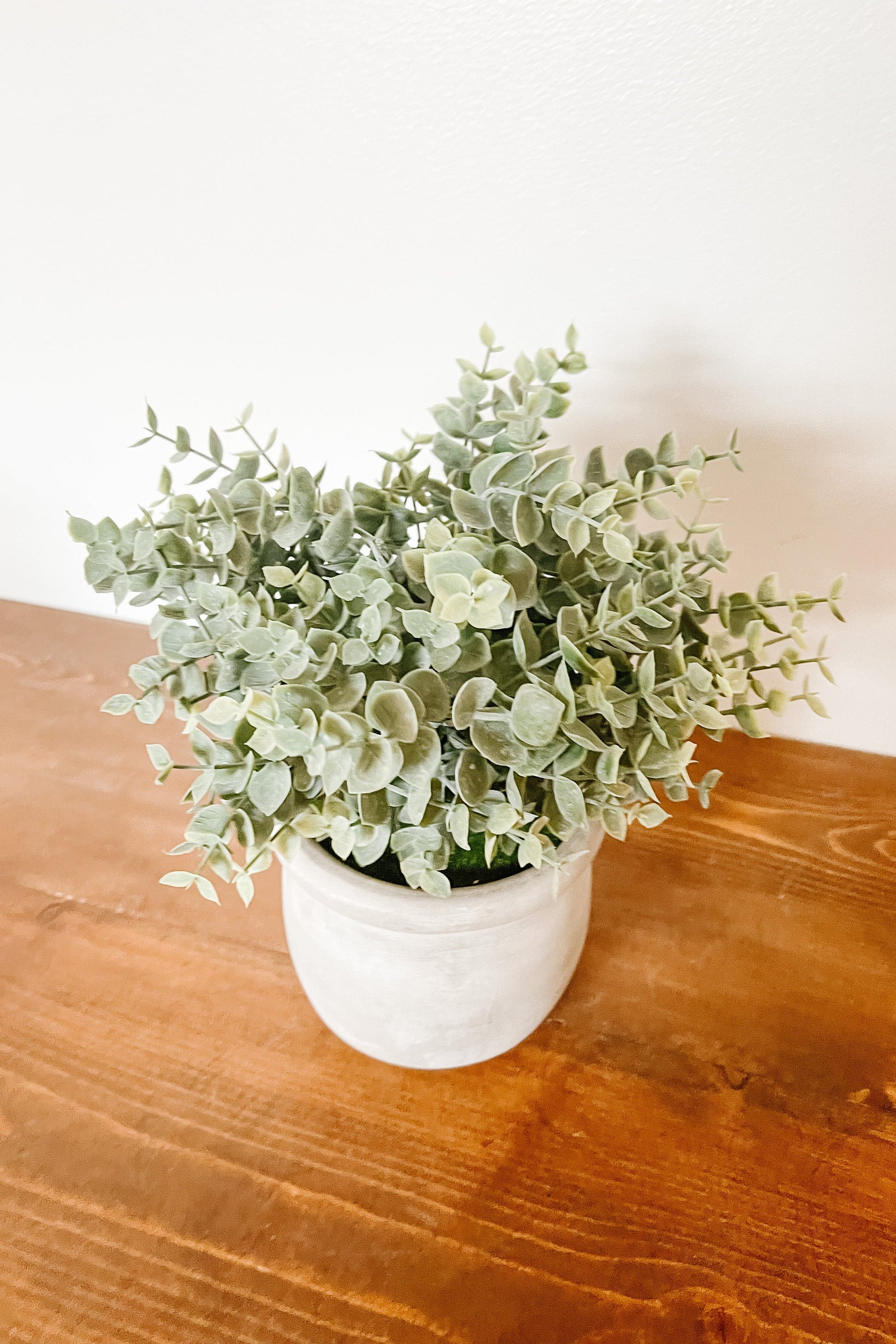 Faux Eucalyptus in a Matte Pot - The Scented Market 