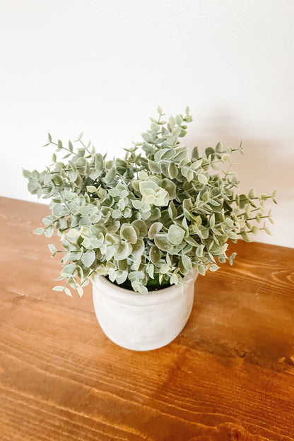 Faux Eucalyptus in a Matte Pot - The Scented Market 